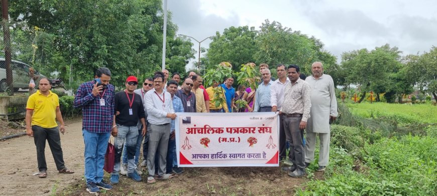 आंचलिक पत्रकार संघ का पौधारोपण अभियान के  तहत आज तुकोजीराव पवार स्पोर्ट्स में पौधारोपण किया