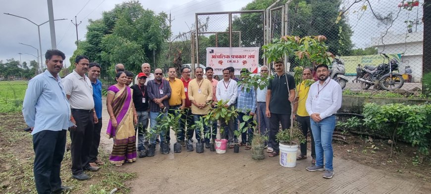 आंचलिक पत्रकार संघ का पौधारोपण अभियान के  तहत आज तुकोजीराव पवार स्पोर्ट्स में पौधारोपण किया