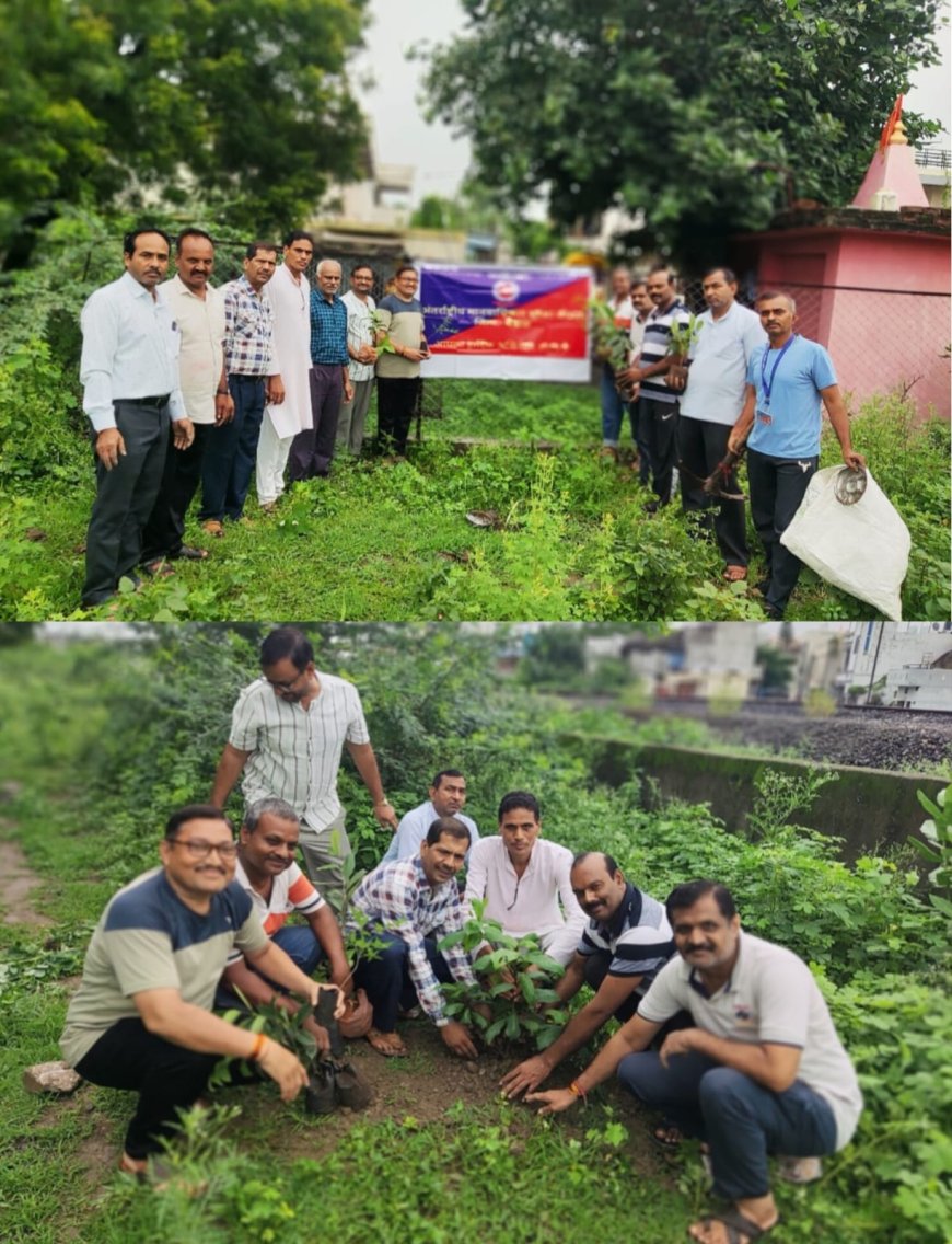 स्वतन्त्रता  दिवस के पूर्व संध्या मे इंडस्ट्रीयल पार्क तुकोजीराव स्पोर्टस गार्डन -2 में पौधारोपण